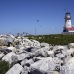 lighthouse_island_seal_machias_h_3039_can1688.jpg